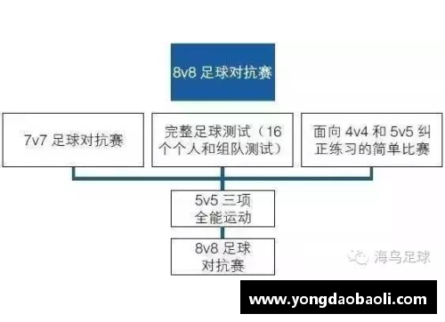 登记在册：探索足球球员注册系统的运作与演变